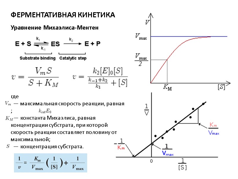 где   — максимальная скорость реакции, равная  ;    —